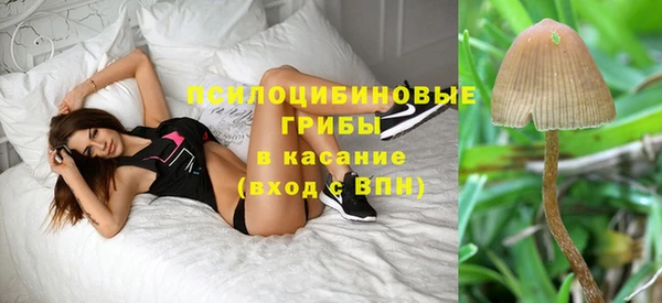 герыч Абаза