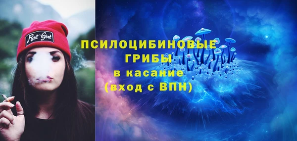 меф Алексин