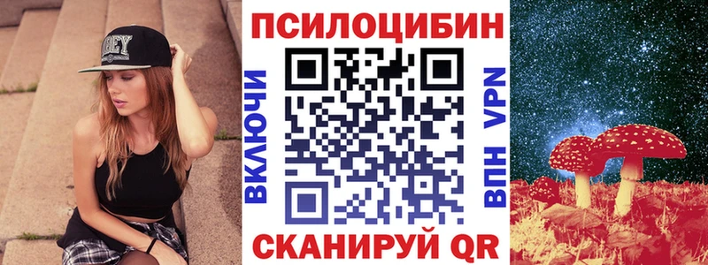 Псилоцибиновые грибы мицелий  Богданович 