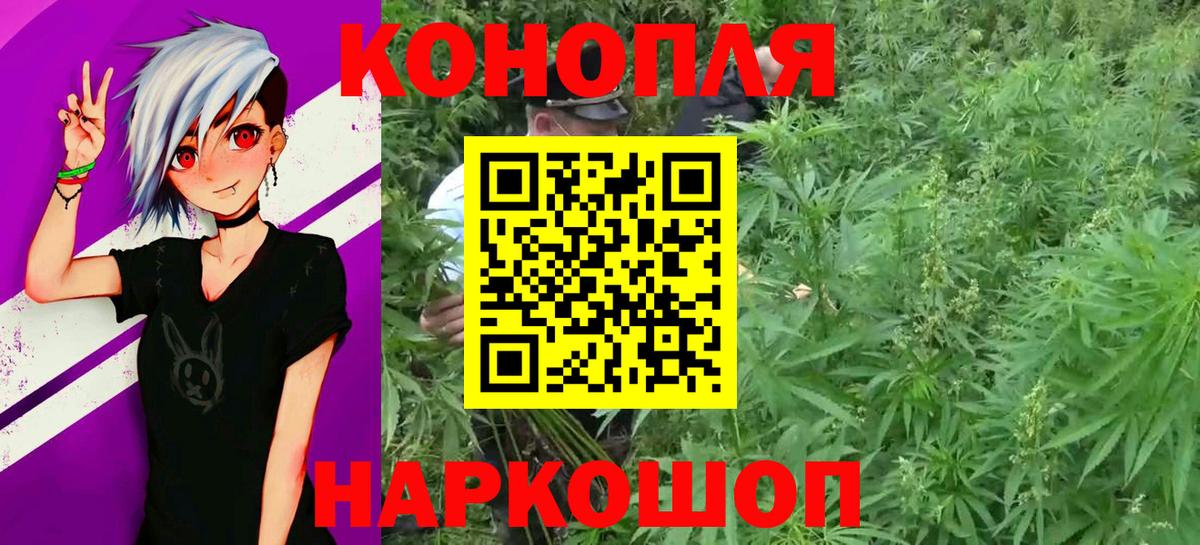 Шишки марихуана гибрид Богданович